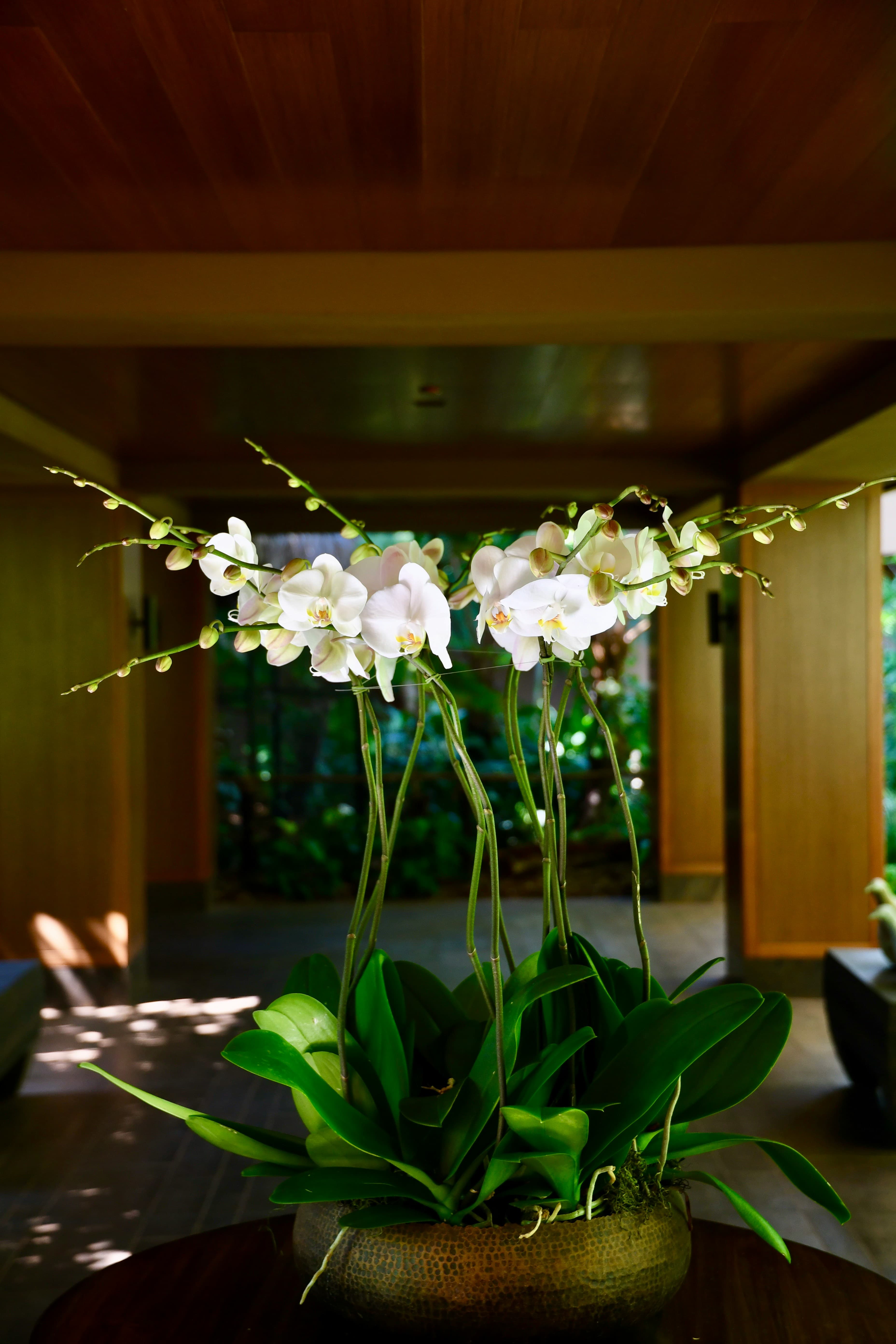 Floral arrangement